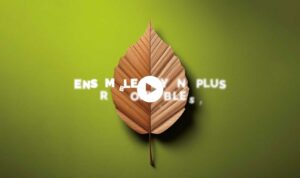 vidéo raja catalogue 2025 motion design